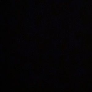 Meet your Posher, Natasha